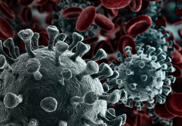 No-time-let-your-guard-downcoronavirus-fraud-rampant-623x432